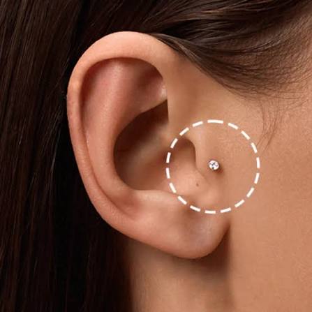 Tragus